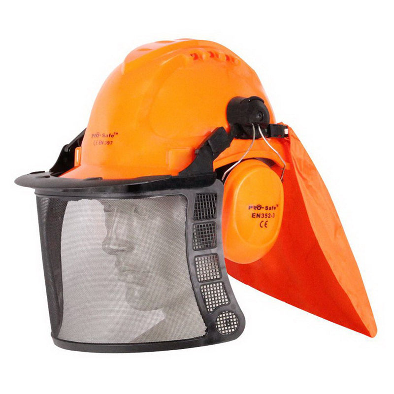 DASM5009 PROTECTIVE HELMET